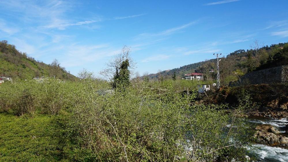 Yesil Dues Tatil Koeyue Findikli (Black Sea) 外观 照片